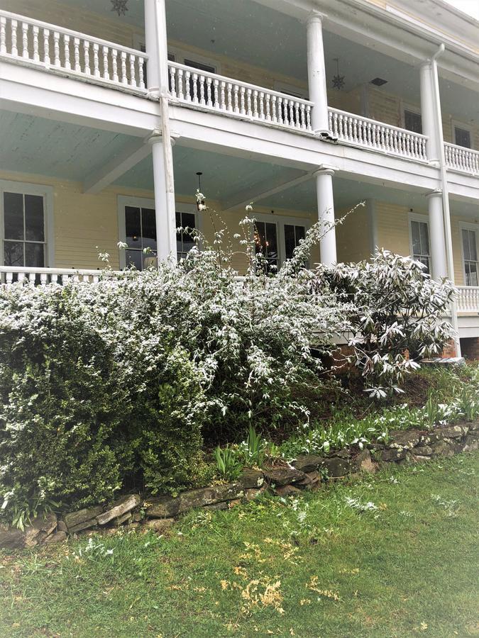 Grand Old Lady Hotel ウェインズビル エクステリア 写真